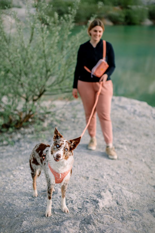 Woolly Wolf Rope Lead - Image 8