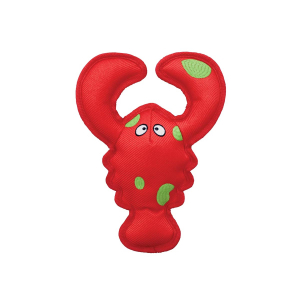 KONG Belly Flops Lobster