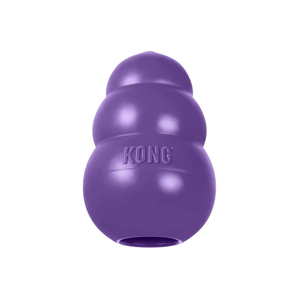 KONG senior