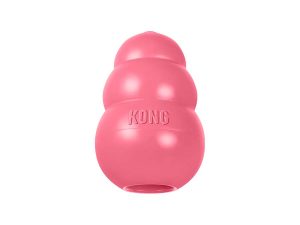 KONG Puppy