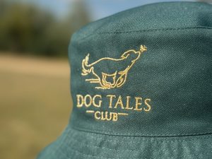 Dog Tales Bucket Hat