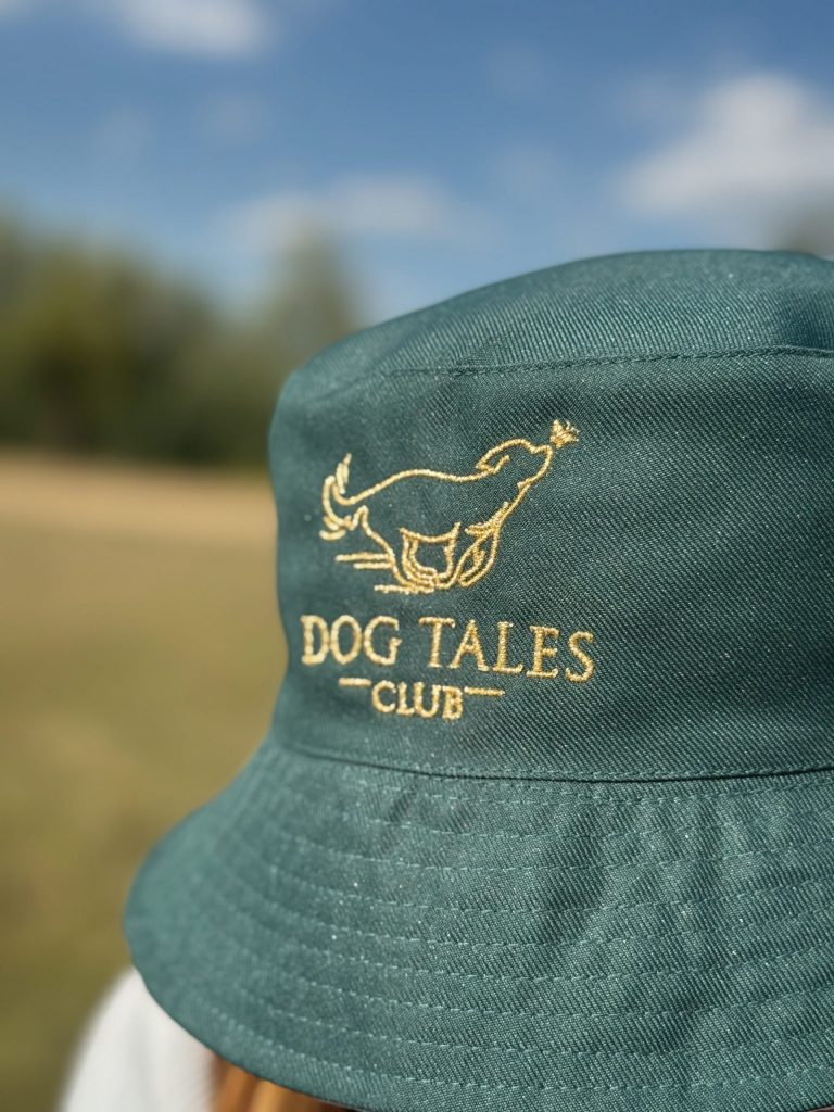 Dog Tales Bucket Hat