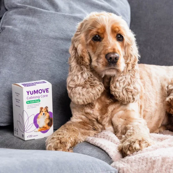 YuMOVE Calming Care for Dogs - Image 2