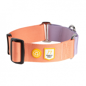 Woolly Wolf Colour Block Martingale Dog Collar