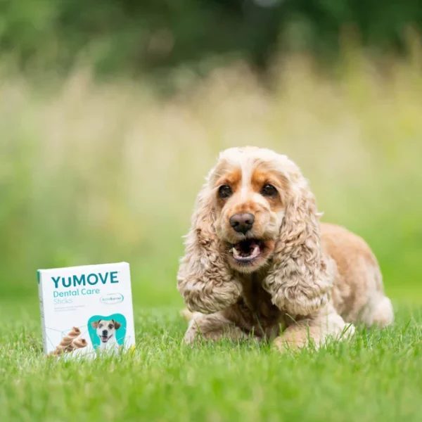 YuMOVE Dental Care Sticks for dogs - Image 3
