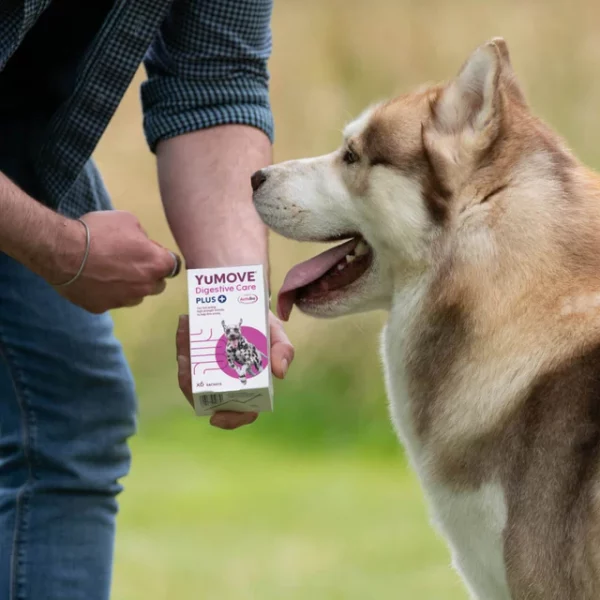 YuMOVE Digestive Care PLUS for Dogs & Cats - Image 2