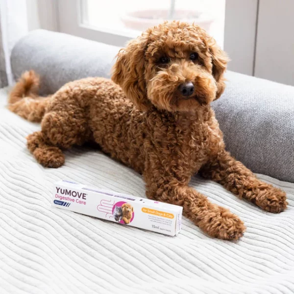 Digestive Care Rapid Probiotic Paste for Dogs & Cats - Image 4
