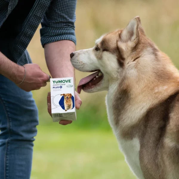 YuMOVE PLUS Max Strength Joint Supplement for Dogs - Image 2