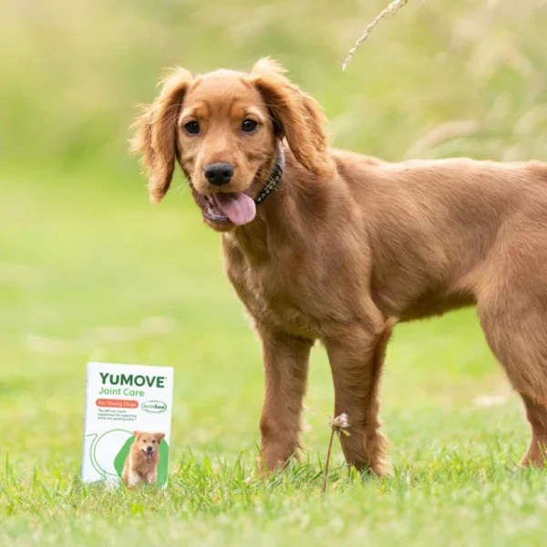 YuMOVE Joint Care for Young Dogs - Image 3