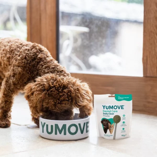 YuMOVE Dental Clean Powder for dogs - Image 3