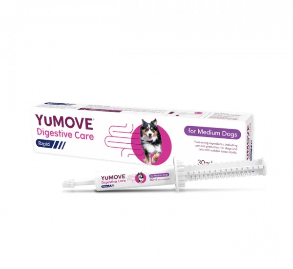 Digestive supplement for dogs