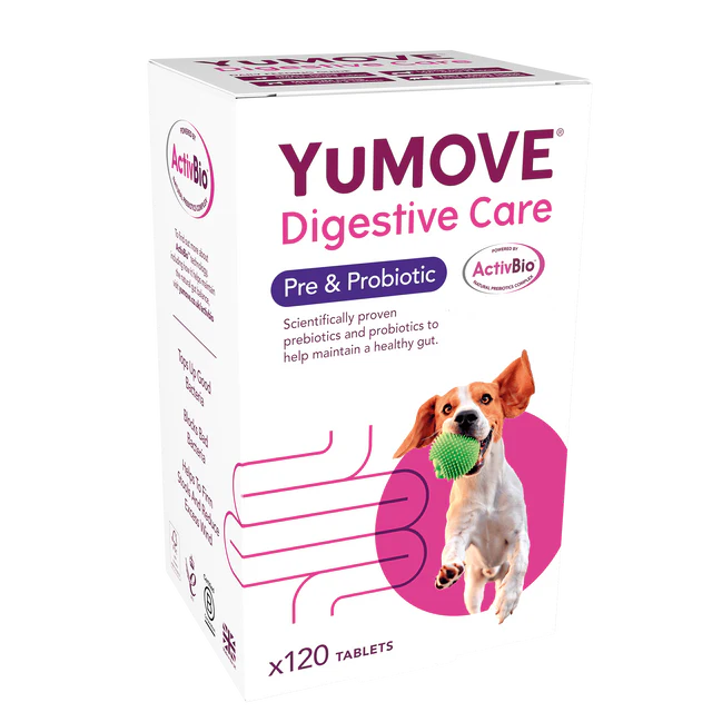 YuMOVE Digestive Care Pre & Probiotic for Dogs