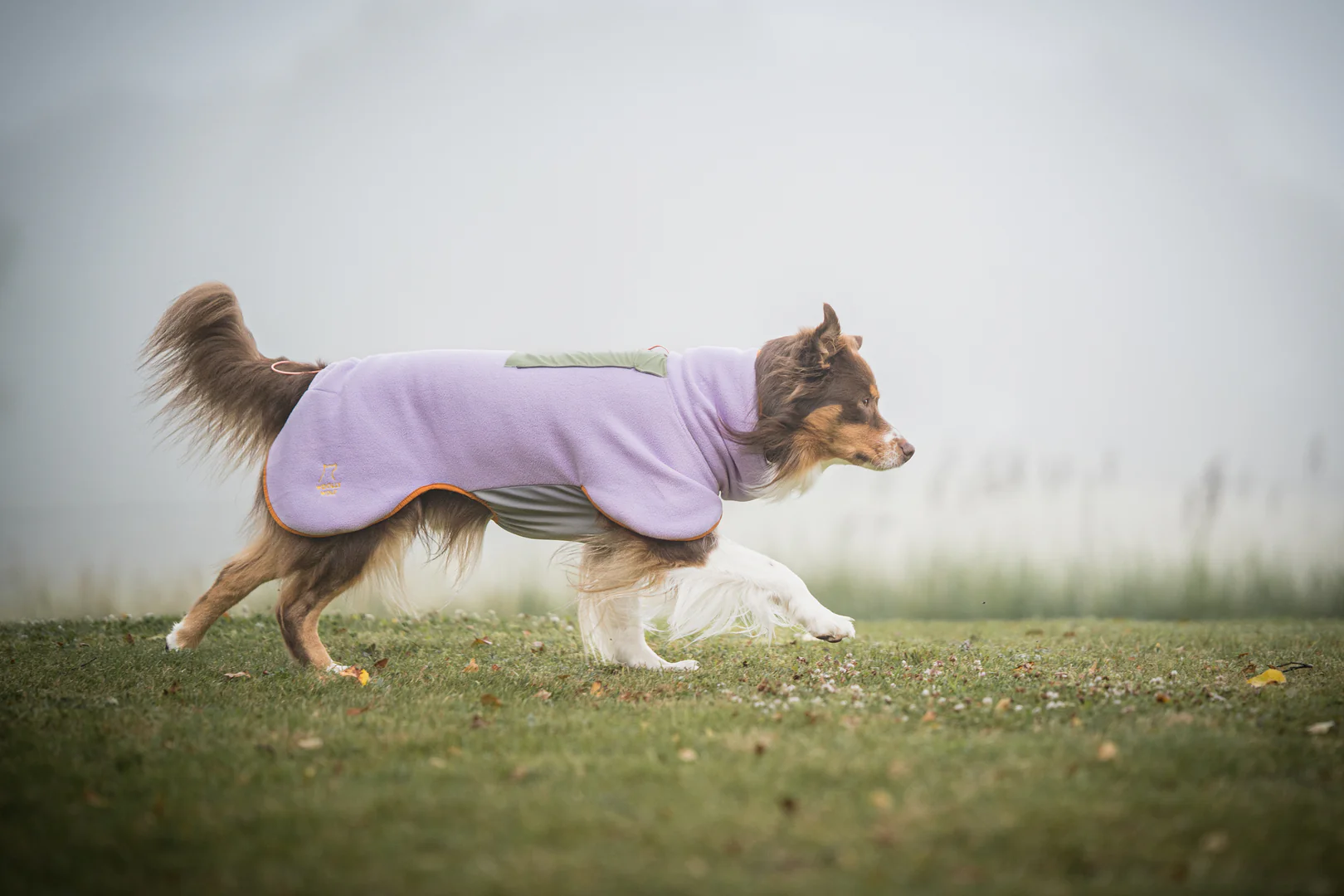 Alpha 360 fleece pullover woolly wolf