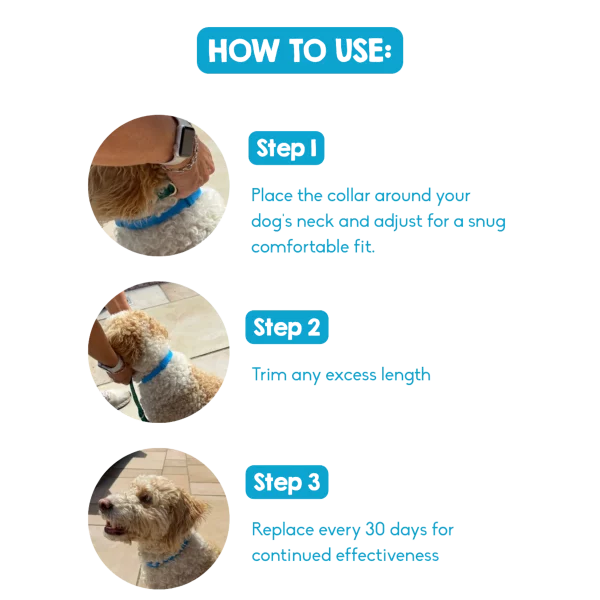 PAWD Calming Collar - Image 3