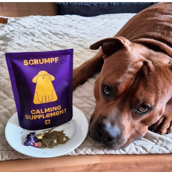 Scrumpf Calming Supplement - Image 8