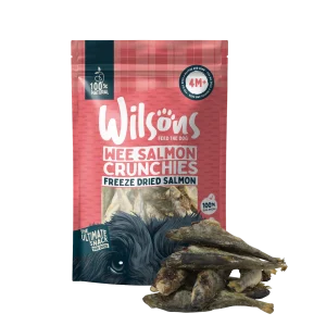 Wilsons Wee Salmon Crunchies - 70g
